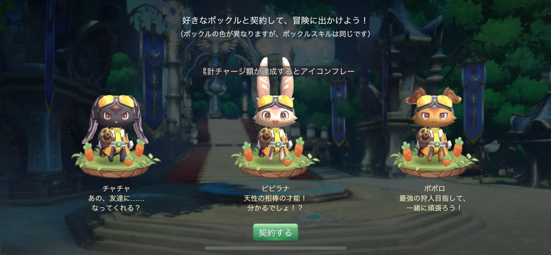謎の生き物ポックルとの出会い